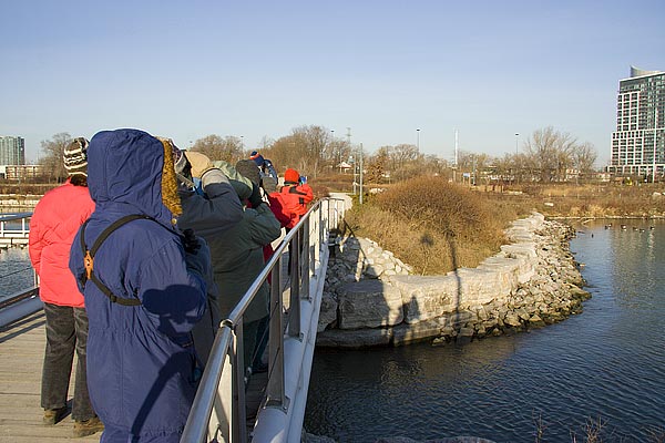 BirdersonBridge