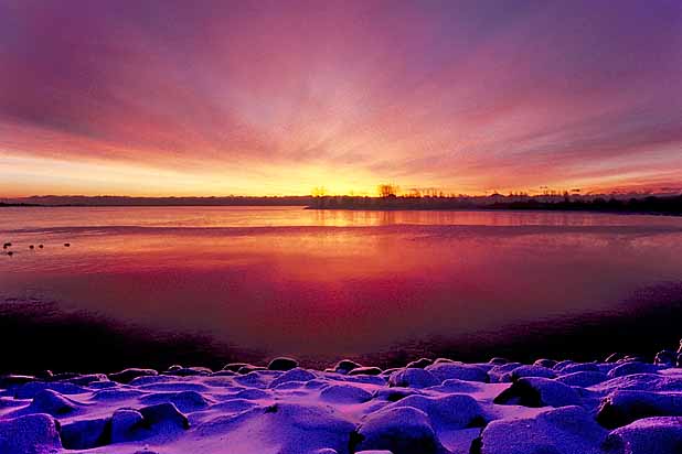 Dawn Burst