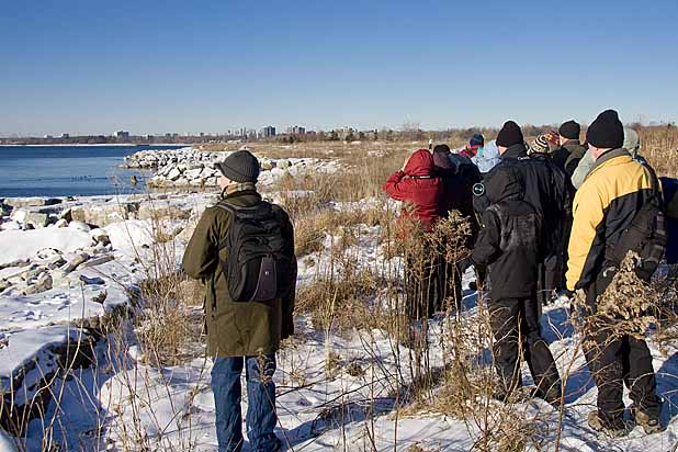 January 2010 Bird Walk