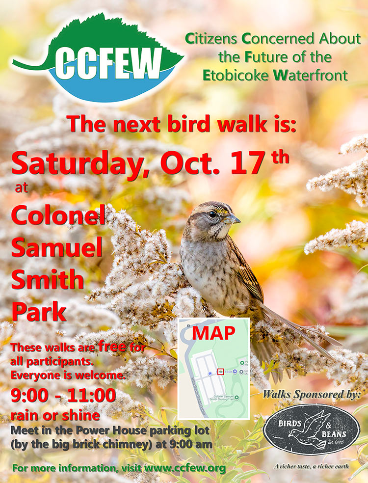 Oct-2026-Bird-Walk-Poster-v2