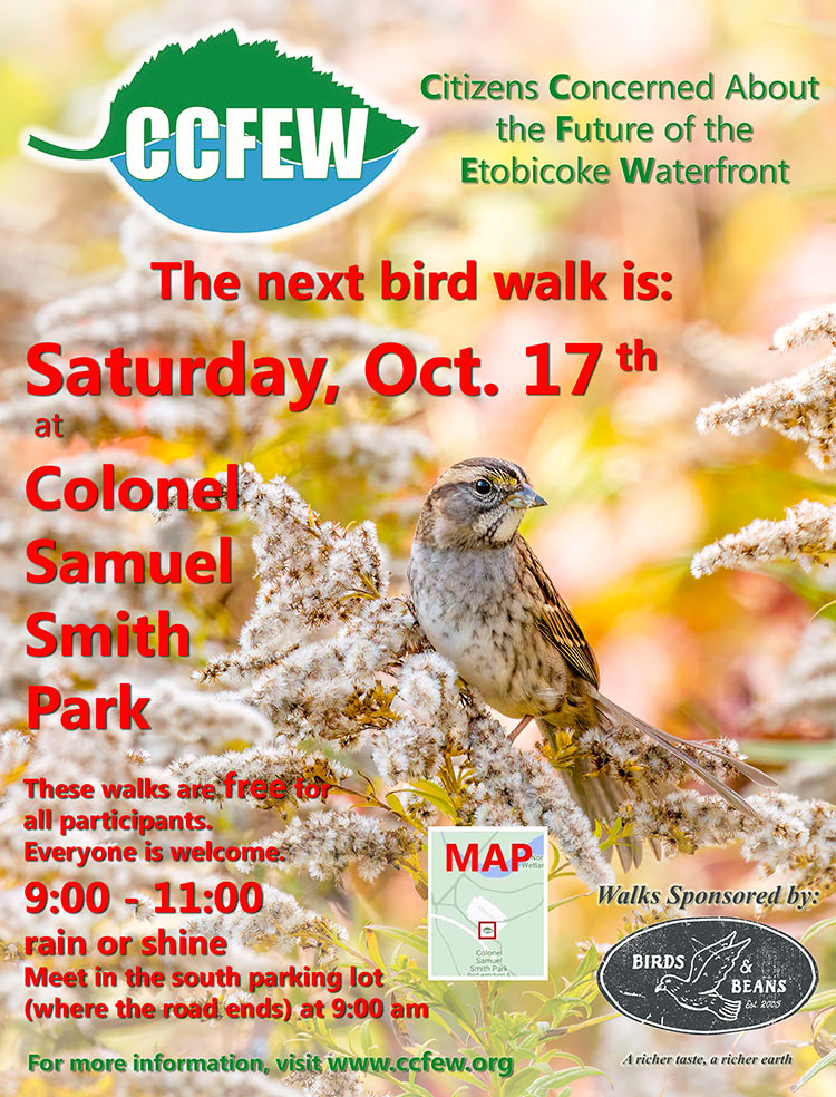 Oct-2026-Bird-Walk-Poster
