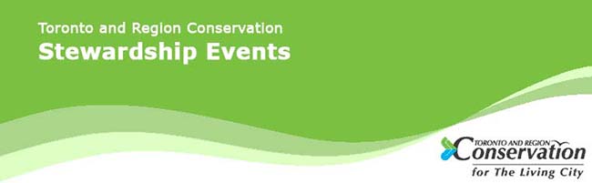 Stewardship Events Banner 650px