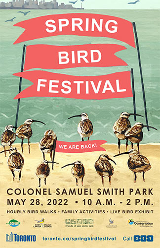 Tiny-Spring-Bird-Festival-Poster_2022
