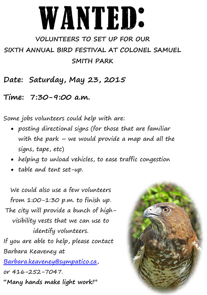 WANTED-bird-festival-volunteers-2015