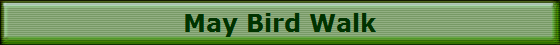 May Bird Walk