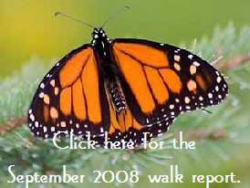 Monarch Button1