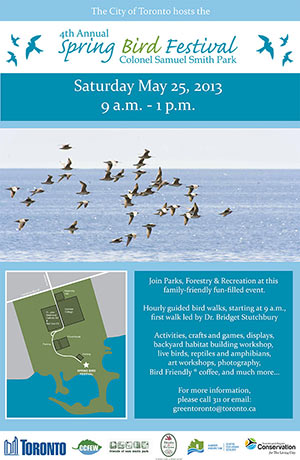 bird-poster-2013small