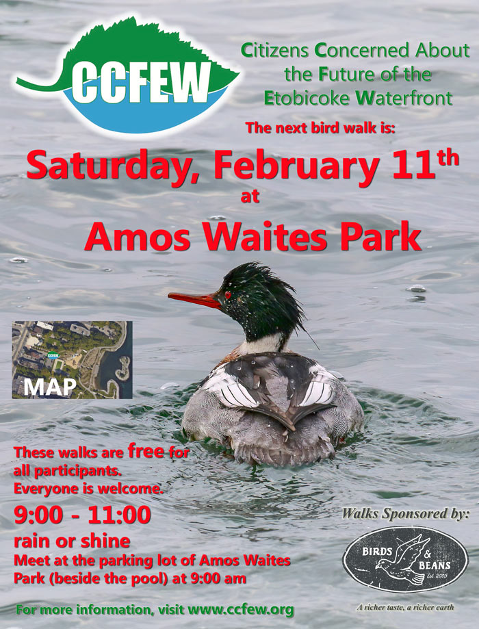 February-2023-Bird-Walk-Poster