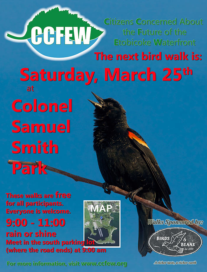 March-2023-Bird-Walk-Poster