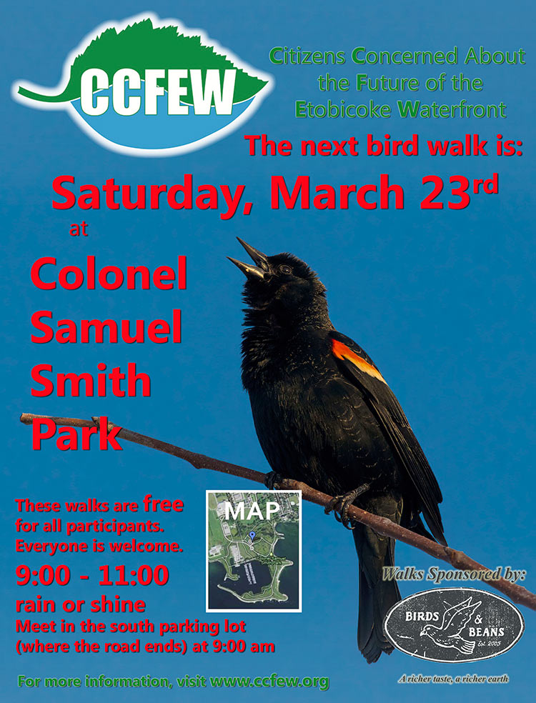 March-2024-Bird-Walk-Poster