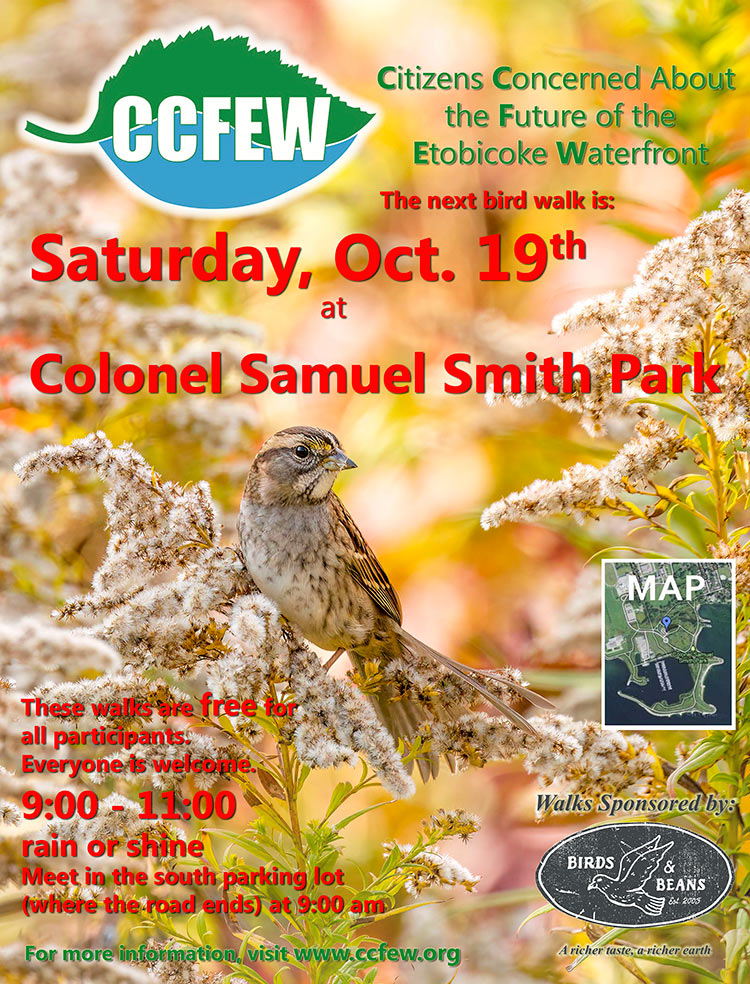 October-2024-Bird-Walk-Poster