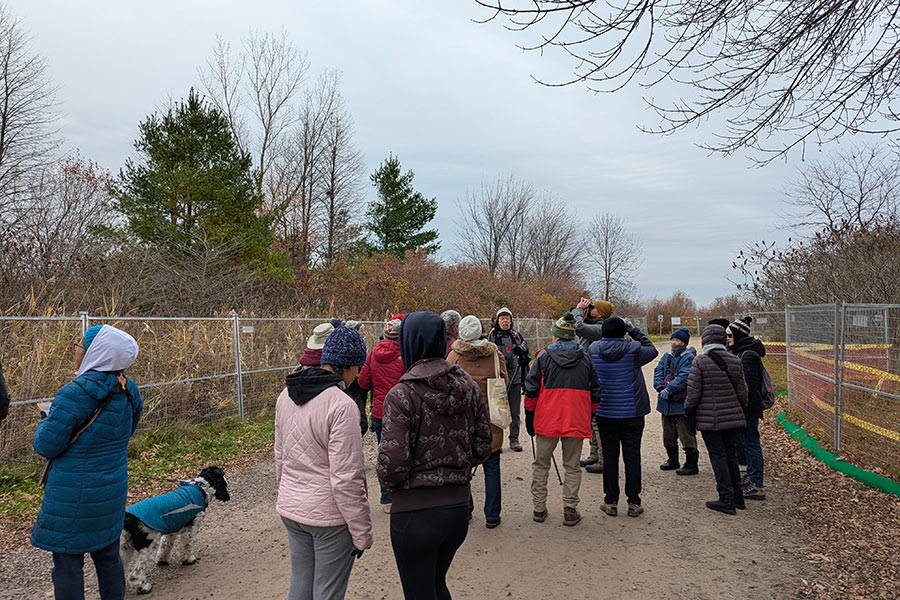 PXL_20251115_144545315