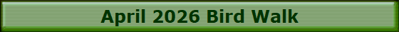 April 2026 Bird Walk