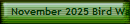 November 2025 Bird Walk