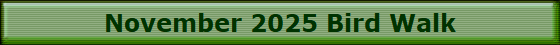 November 2025 Bird Walk