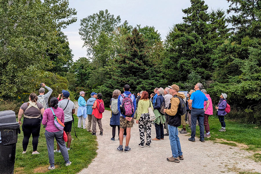 f036bdcf-789c-4217-94b4-010adcf16907~1