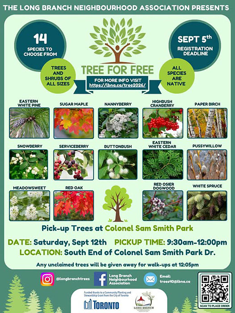 tree4free-sept-2026